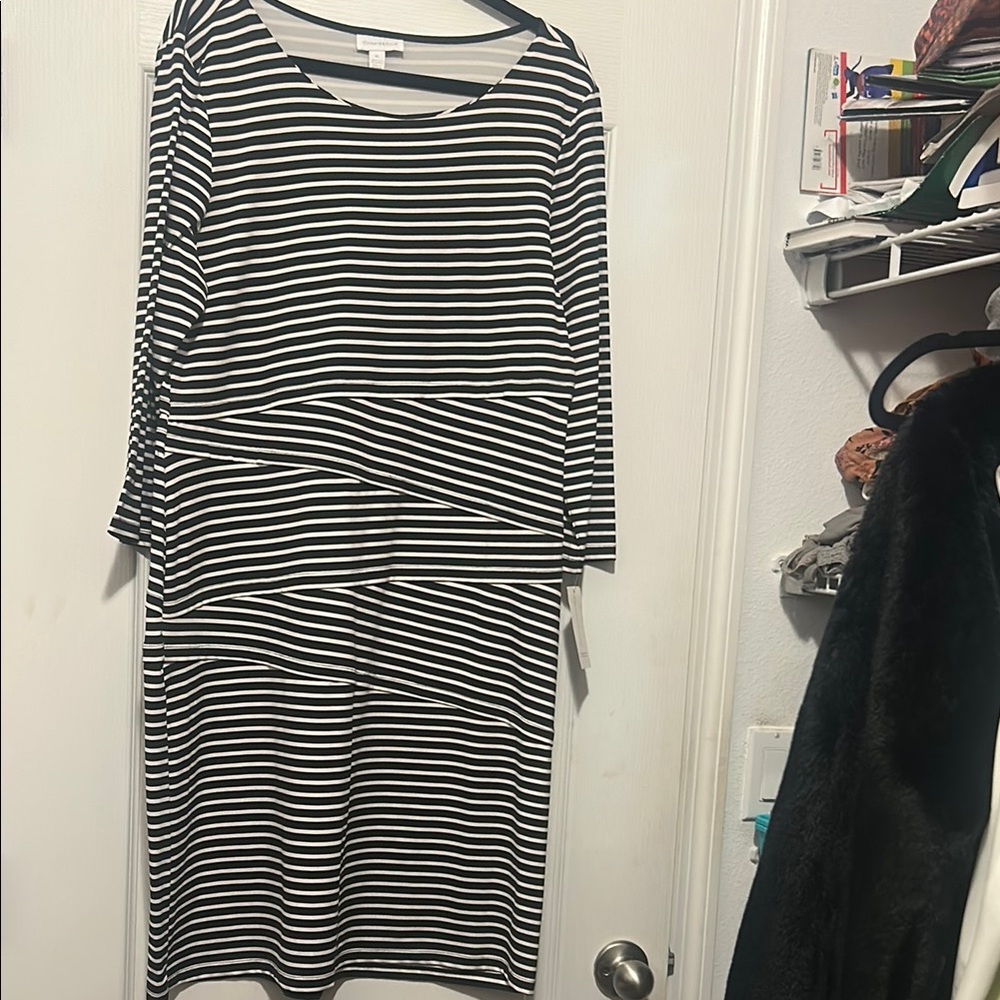 Charter Club Black and White Striped Dress